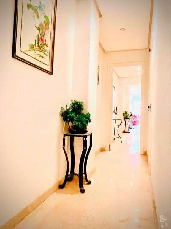 WhatsApp Image 2026-03-04 at 17.06.17 (1)