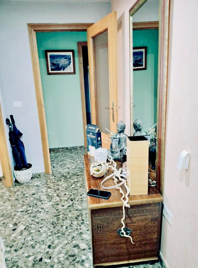 WhatsApp Image 2026-03-06 at 15.43.11