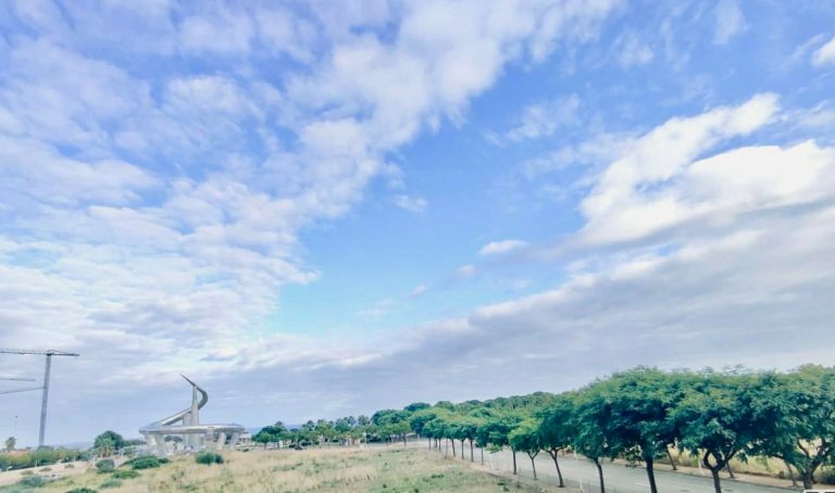 WhatsApp Image 2026-03-06 at 15.45.05