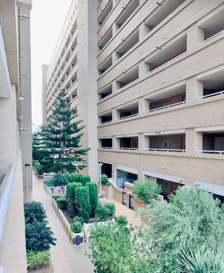 WhatsApp Image 2026-03-06 at 15.46.30 (3)