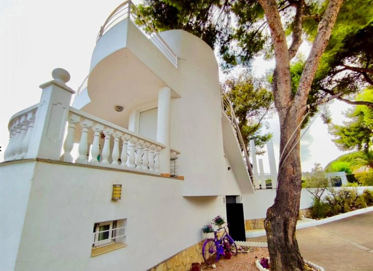 WhatsApp Image 2026-03-06 at 16.06.37