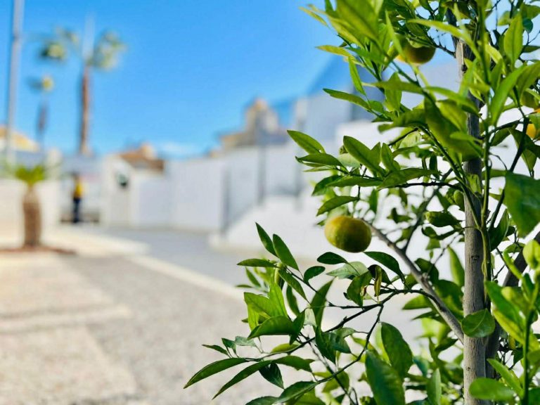 WhatsApp Image 2026-03-07 at 16.35.35