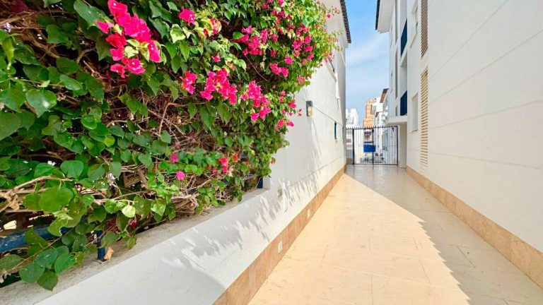 WhatsApp Image 2026-03-07 at 18.07.51