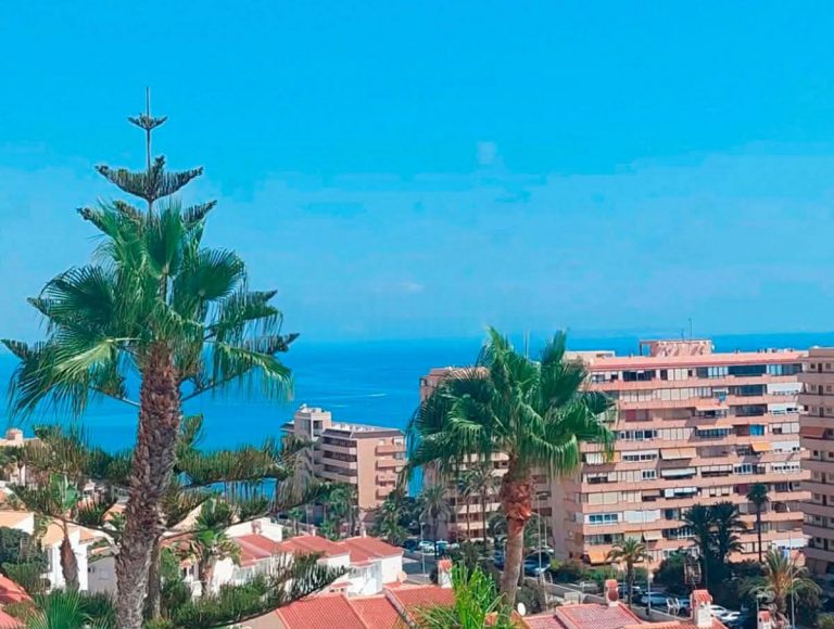 WhatsApp Image 2026-03-10 at 21.31.33 (2)