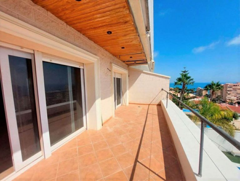 WhatsApp Image 2026-03-10 at 21.31.33