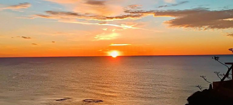 WhatsApp Image 2026-03-10 at 21.34.29 (1)