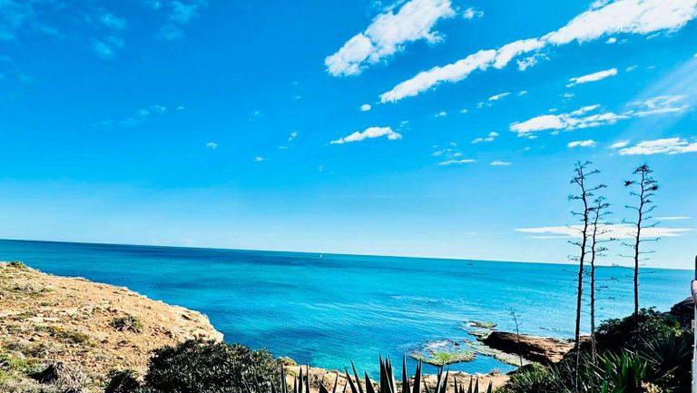 WhatsApp Image 2026-03-10 at 21.34.29 (8)