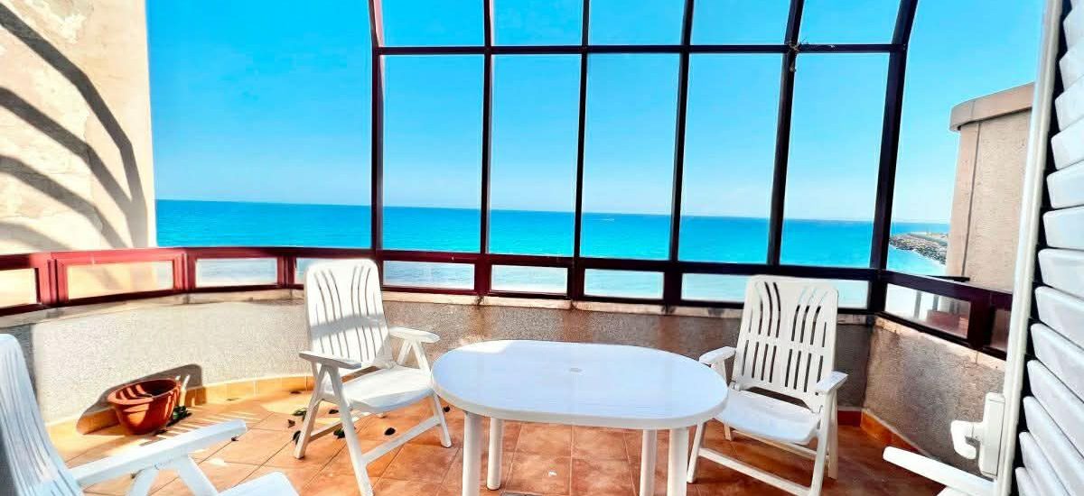 WhatsApp Image 2026-03-04 at 17.06.14 (1)