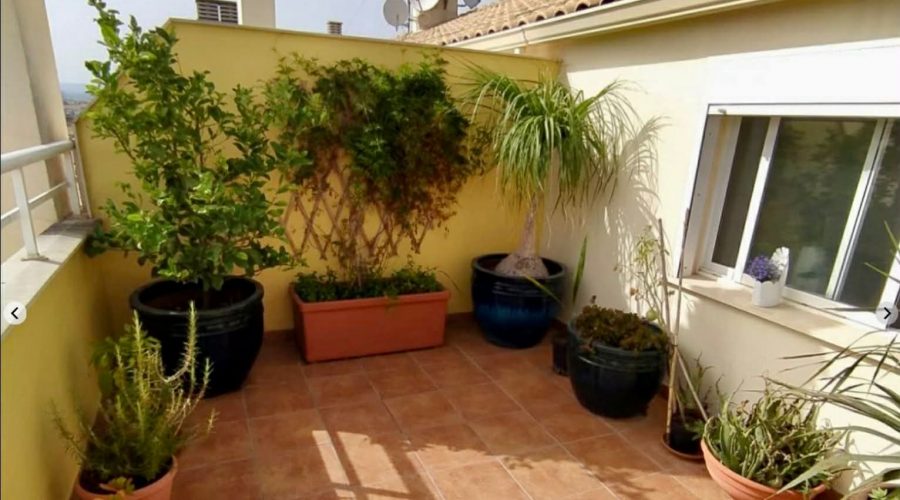 WhatsApp Image 2026-03-06 at 15.47.58